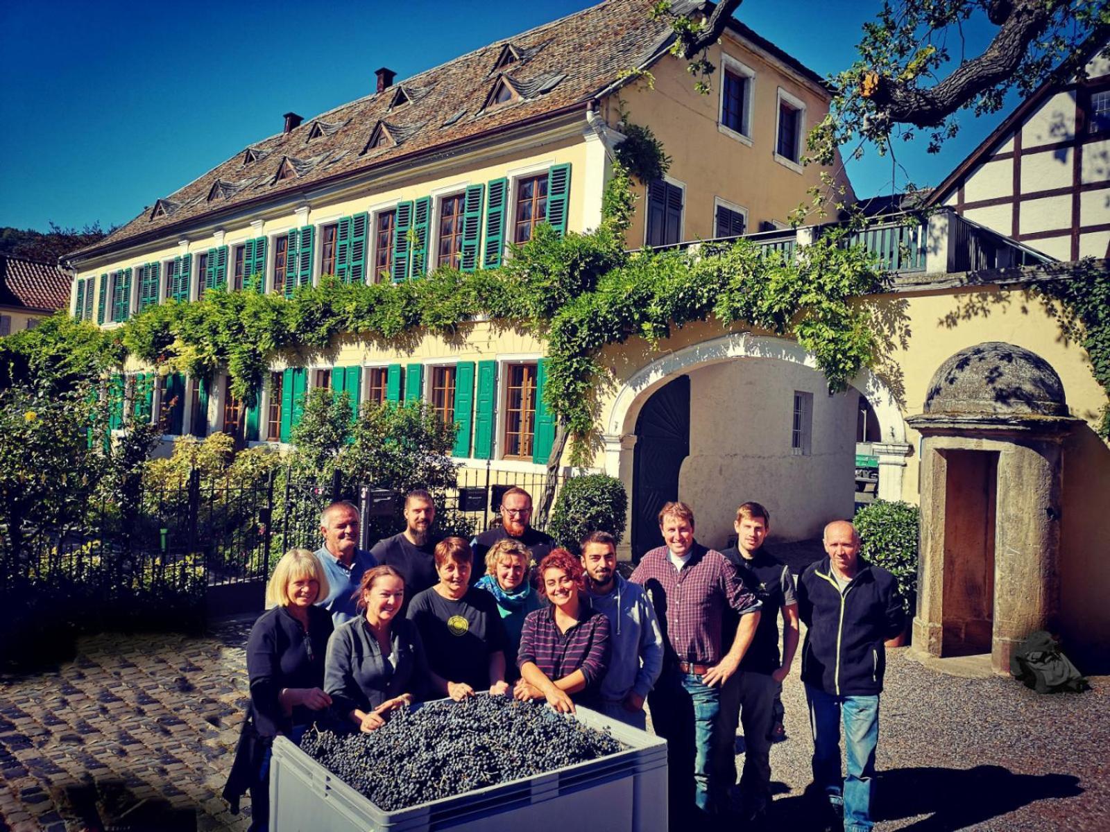 Unterkunft Im Weingut Fitz-Ritter 바트두르크하임 외부 사진